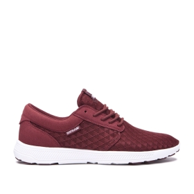 Supra Mens HAMMER RUN Andora/white Trainers | CA-26569